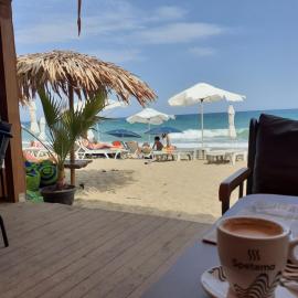 Sunshine Byala 2