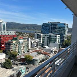 Maravilloso Departamento En Centro De Concepción