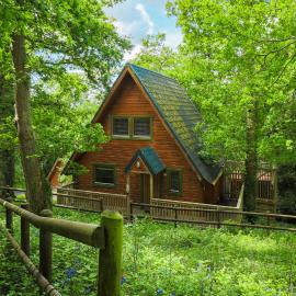 Fern Gully Lodge with Hot Tub - Spa Resort - Devon, Hotel in Chudleigh