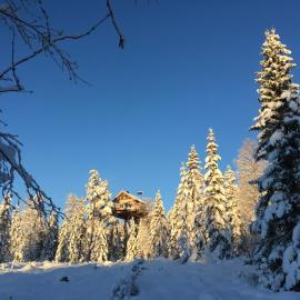 Faråsen Luxury Treetop Cabin - Sleep Among the Trees, hotel v mestu Ringsaker