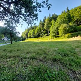 Only Meadow, hotel in Kolárovice