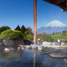 하코네에 위치한 호텔 Hotel Green Plaza Hakone