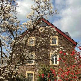 Neu!!! Moselbleibe Altes Forsthaus