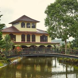 Golden Goose Villas