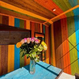 Paloma Bed and Breakfast