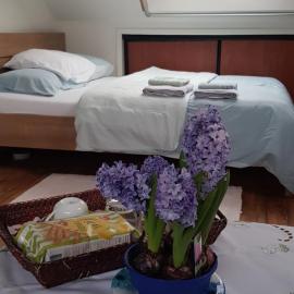 Volendam: Volendam şehrinde bir otel