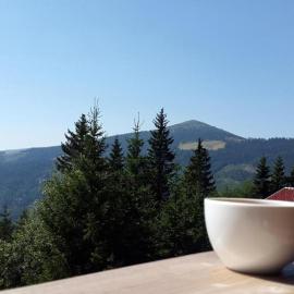 Almzeit Klippitz, hotel u gradu Klippitztorl