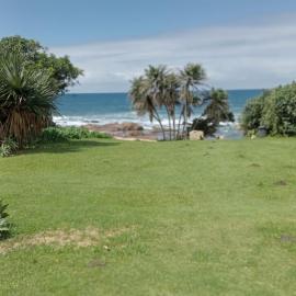 Palm beach