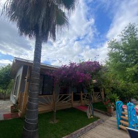 Black Cat Villa's