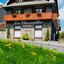 Hôtel Les Charmilles, hotel en Besse-et-Saint-Anastaise