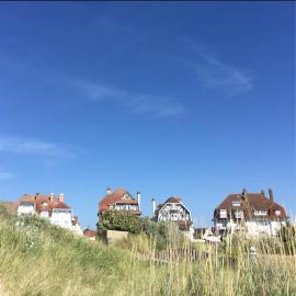 Entre Mer et Dunes de Pin