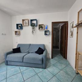 Znc Holiday House