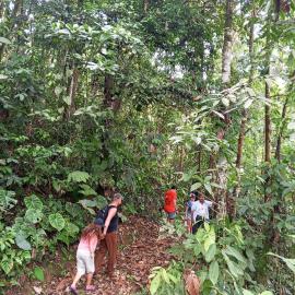 Ingaru lodge, hotel i Pano