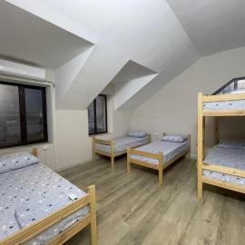 Hostel Vertum
