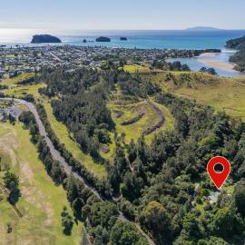 Birdsong - Whangamata Holiday Home