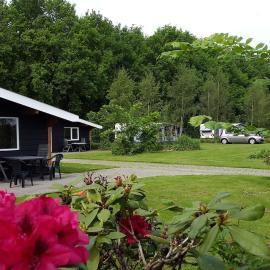 KOEle Lodge, Loeigoed overnachten