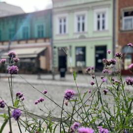 Apartament Rynek 17