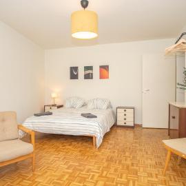 Central Studio Apartment with free BaselCard - Klimt