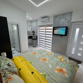 Mitić Apartmani 1 Sobe Mitić, hotel in Niš