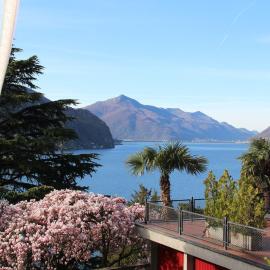 Barony Olive mit Hund, hotel a Lugano