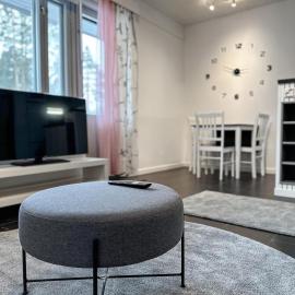Asemapuisto, hotel i Lapinlahti