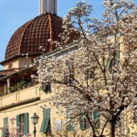 Casa San Girolamo Historic flat with cosy Terrace in Lucca's city Centre