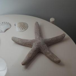 Apartamento Altea Centro