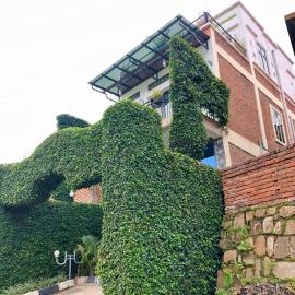 Small Land Home Stay, hotell i Kibuye
