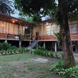 Bua Guesthouse Tangkahan, Hotel in Tangkahan
