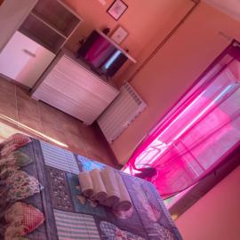 Sophie`s Home