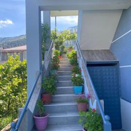 Guest House Zotkaj, hotell i Berat