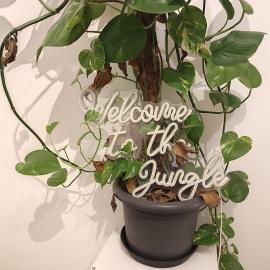 Jungle in Kelkheim for 4 Persons 24 h check in