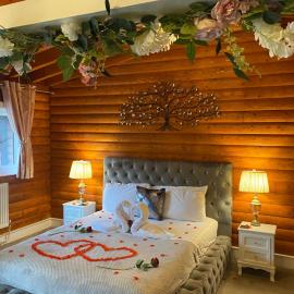 Kaoglen-Blossom-Hot tub-Cairngorms-Pet Friendly, hotel u gradu Balnald
