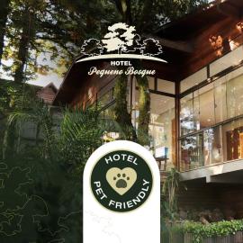 Hotel Pequeno Bosque、グラマドのホテル