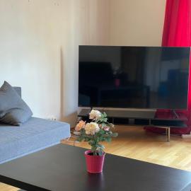 M5 CITY CENTER OSLO, 110 mt, 3 BEDROOMS, 2 TOILETTE, 120 MT