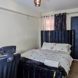 Homey Haven, khách sạn ở Juja