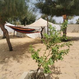 Les jardins fleuris de lompoul sur mer, hotell i Tioukougne Peul