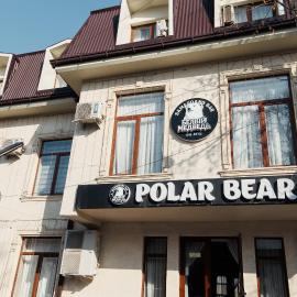 Polar Bear