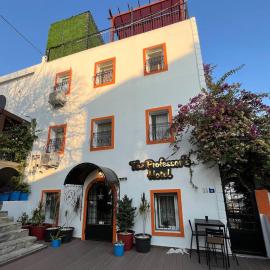 The Professor's Hotel
