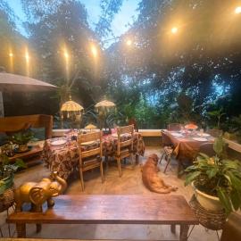 Private suite close to pools, hot springs, falls and more!