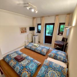 Pet friendly apartment