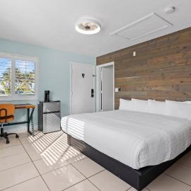 Standard Hotel Room - King Bed #2