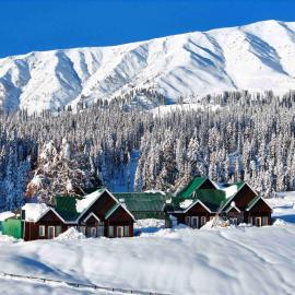 Gulmarg में, होटल Gulmarg Woods By Stay Pattern