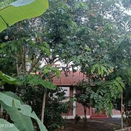 Nguyên căn Nhà Cổ - Nhà Mẹ Khang 2 โรงแรมในCu Chi