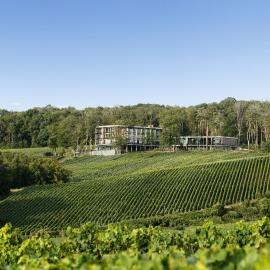 LOISIUM Wine & Spa Hotel Champagne, hotel em Mutigny