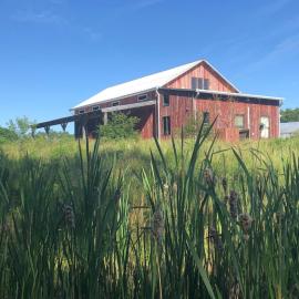 Historic Converted Barn Loft at Sobremesa Farm, hotel in Bloomington