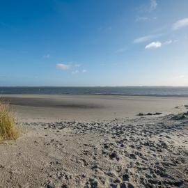 De Strandloper Vakantiehuisje aan het strand - Ferienwohnung am Meer, hotel a Baarland