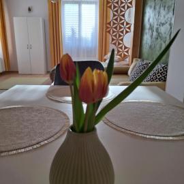 Pensiunea Casa Dorneană