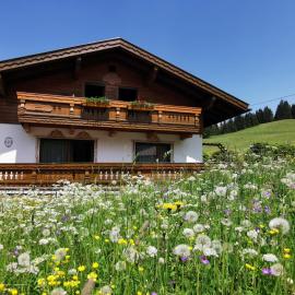 Haus Steinkarblick und Berghäusl