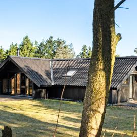 Gorgeous Home In Skjern With Wifi, hotel a Skjern